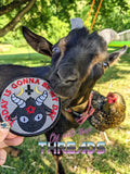 DIGITAL DOWNLOAD Today Is My Day Baphomet Goat Patch 3 SIZES INCLUDED